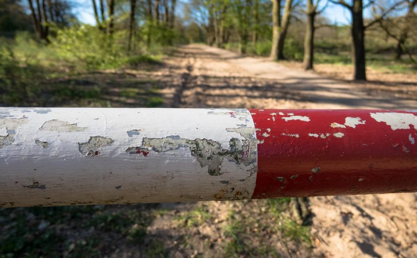 Projekt-Territorien schützen: Von Hunden, Katzen, Projektleitern und Chefs