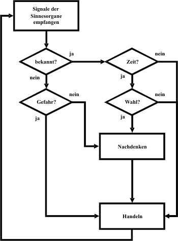 fliessdiagramm